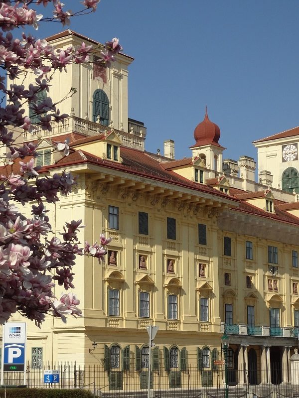 Besichtigung von Eisenstadt Schloss Esterházy