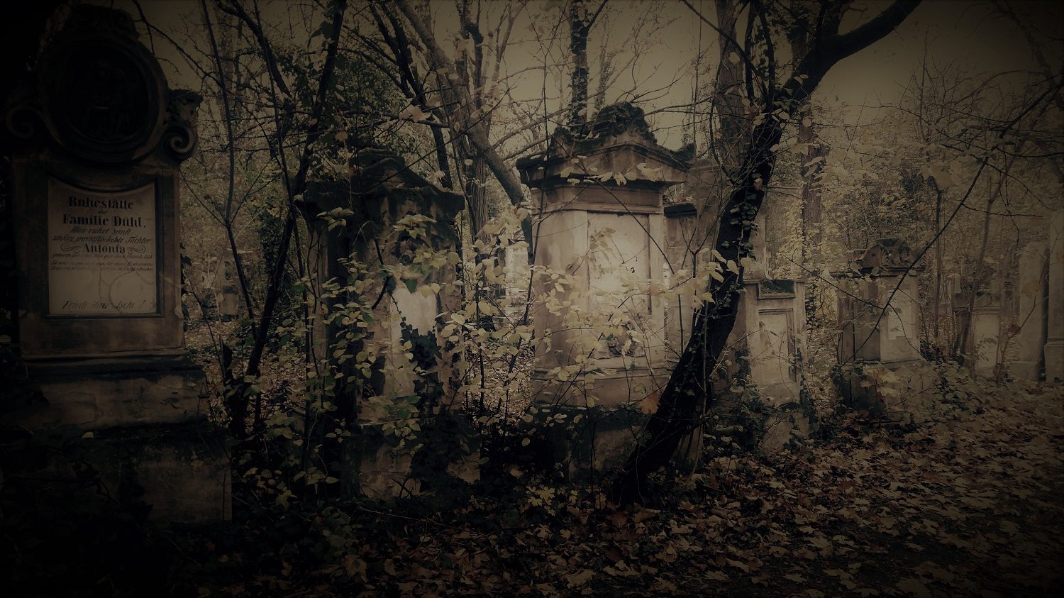 Führung am Wiener Friedhof zu St. Marx